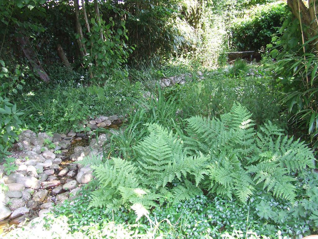 B&B 'T Nije Huus Schoonoord Kültér fotó